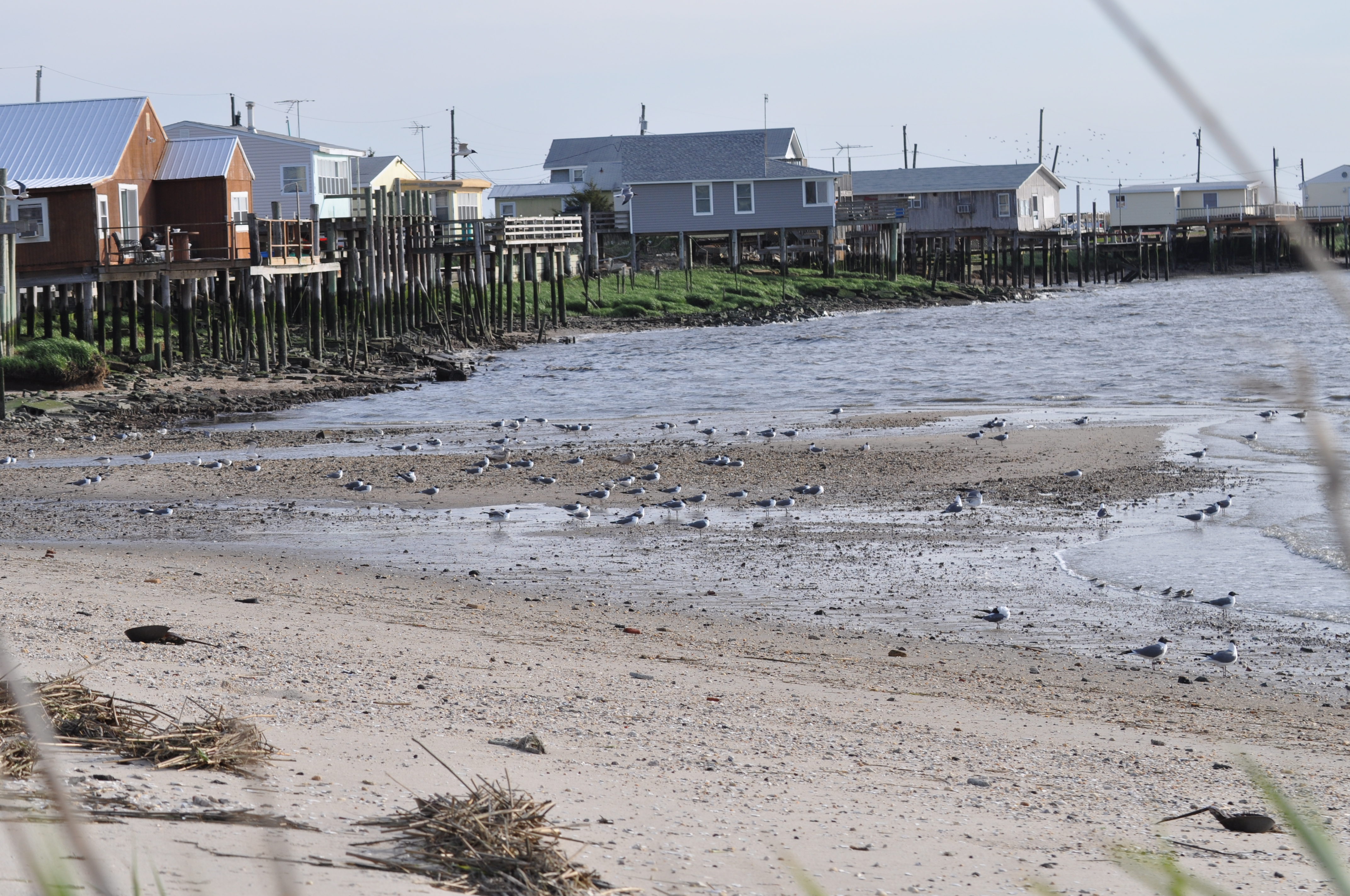 Is this the time to buy at the Jersey shore?